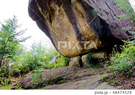 八丈岩 八丈岩 48474529