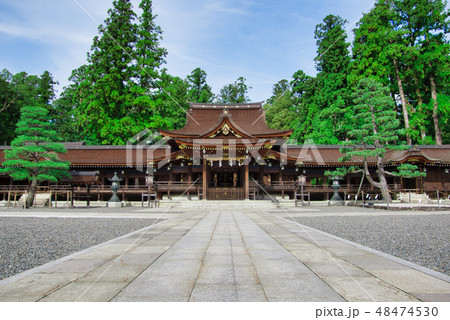 多賀大社 48474530