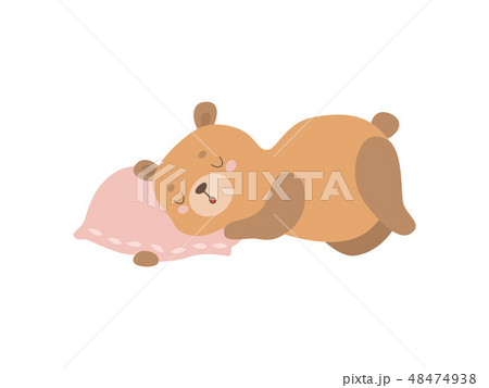 Cute Baby Bear Animal Sleeping on Pillow Vector Illustration 48474938