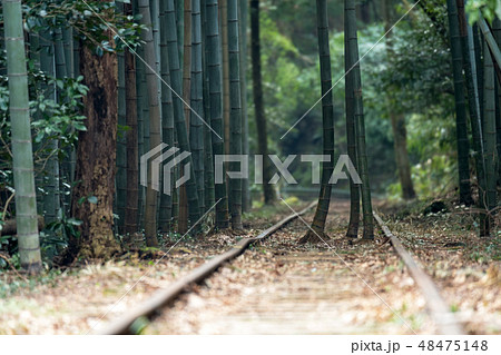 旧国鉄倉吉線　廃線跡　早春 48475148