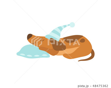 Cute Dachshund Dog Animal Sleeping on Pillow Vector Illustration 48475362