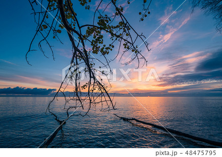 Baltic Sea coast on the island Moen in Denmark 48475795