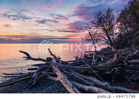 Baltic Sea coast on the island Moen in Denmark 48475796