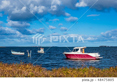 Boats and reeds on the Baltic Sea in Denmark 48475805