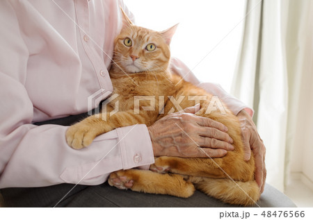 猫を抱くシニアの手 48476566