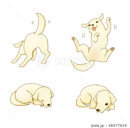 かわいい犬のポーズセットのイラスト素材