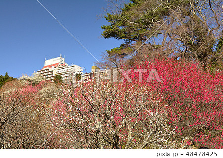 熱海梅園 熱海梅園 48478425