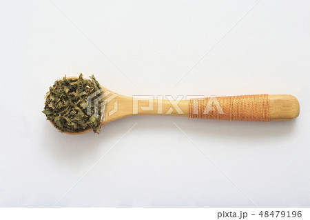 ギムネマ 48479196