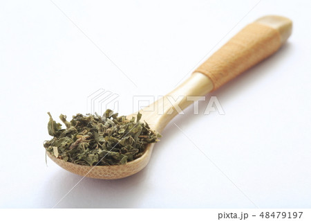 ギムネマ 48479197