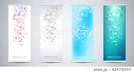 Roll up banner stands with DNA strand and molecular structure. Genetic engineering or laboratory 48479454