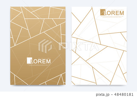 Modern vector template wedding invitation cards with marble texture background and golden geometric 48480181