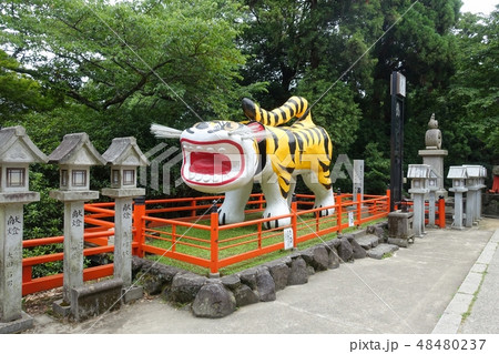 朝護孫子寺にいる巨大なトラの赤べこ 48480237