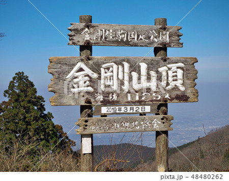 金剛山 金剛山 48480262