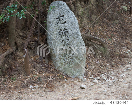 金剛山 千早本道 48480444