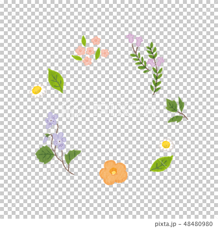 ハーブ アロマ 手描きのイラスト素材