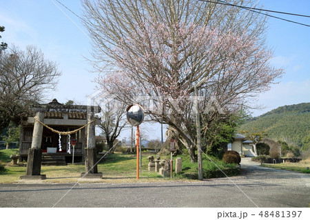 菅原神社 48481397