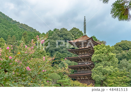 瑠璃光寺 国宝五重塔 瑠璃光寺 国宝五重塔 48481513