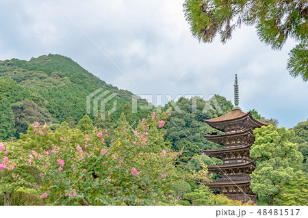 瑠璃光寺 国宝五重塔 48481517