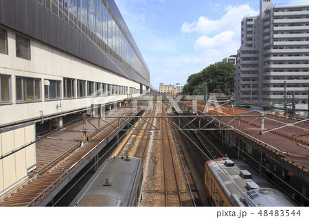 長岡駅に停車中の信越線115系快速・上越線E129系 長岡駅に停車中の信越線115系快速・上越線E129系 48483544