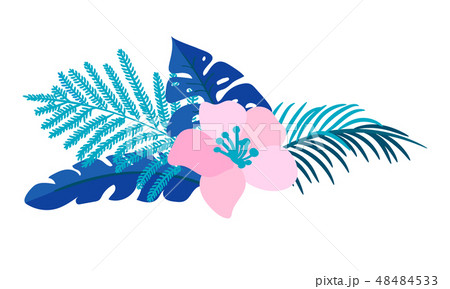 Vector summer isolated flat flower bouquet tropical palm monstera on isolated white background 48484533