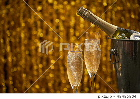 bottle of champagne in a bucket with ice  48485804