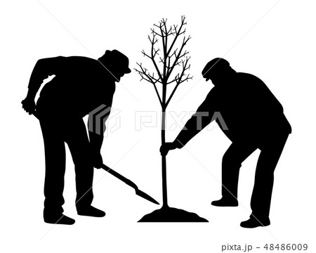 Planting a tree 48486009
