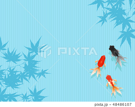 金魚 金魚 48486107