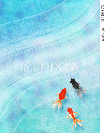 金魚 和の背景 のイラスト素材