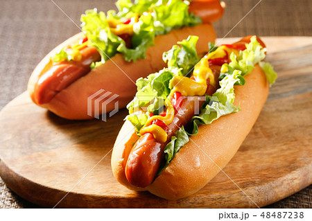 ホットドッグ(手作り) 48487238