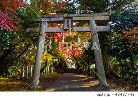 聖天宮西江寺・鳥居と紅葉 聖天宮西江寺・鳥居と紅葉 48487748