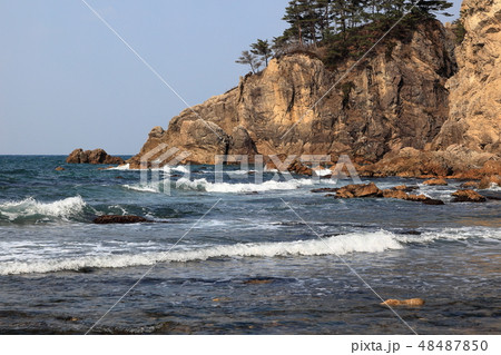 笹川流れ 48487850