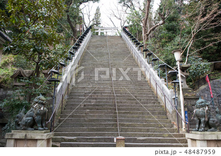東京都　港区　愛宕神社（あたごじんじゃ）　出世の石段・男坂 48487959