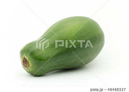 グリーンパパイヤ　青パパイヤ : green papaya 48488337