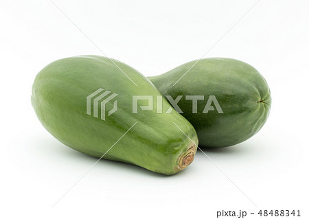 グリーンパパイヤ　青パパイヤ : green papaya 48488341