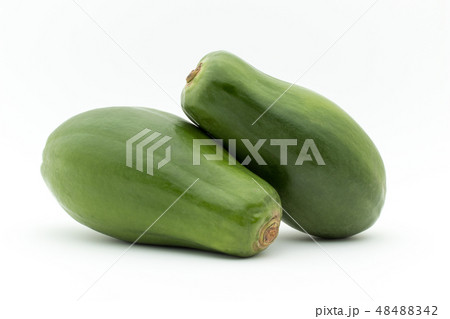 グリーンパパイヤ 青パパイヤ : green papaya グリーンパパイヤ 青パパイヤ : green papaya 48488342