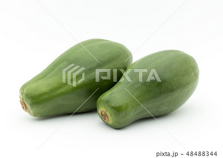 グリーンパパイヤ　青パパイヤ : green papaya 48488344