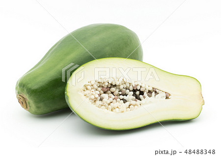 グリーンパパイヤ 青パパイヤ : green papaya グリーンパパイヤ 青パパイヤ : green papaya 48488348