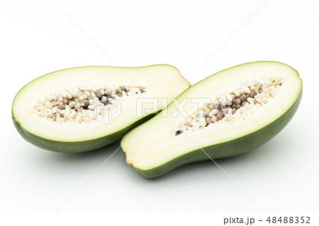 グリーンパパイヤ 青パパイヤ : green papaya グリーンパパイヤ 青パパイヤ : green papaya 48488352