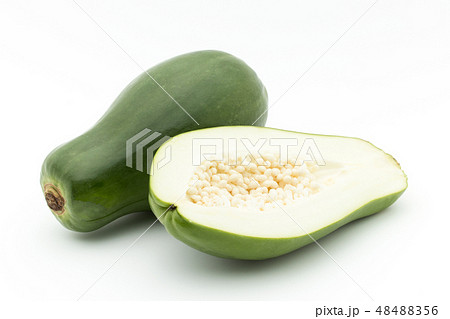 グリーンパパイヤ 青パパイヤ : green papaya グリーンパパイヤ 青パパイヤ : green papaya 48488356