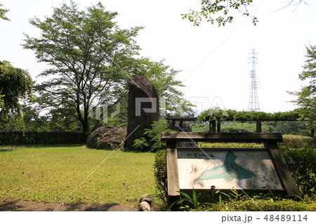 常陸風土記の丘の風景 48489114
