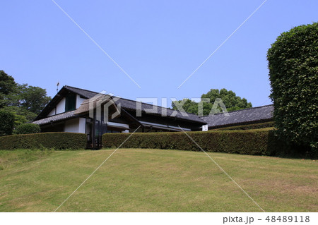 常陸風土記の丘の風景 48489118