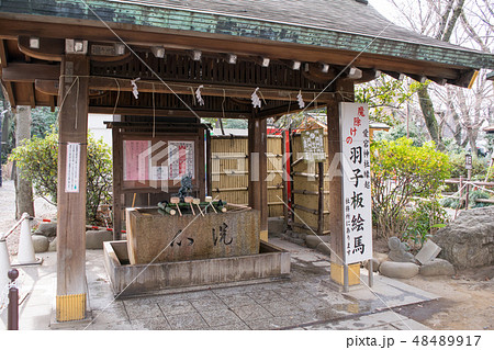 東京都　港区　愛宕神社（あたごじんじゃ）　手水社 48489917