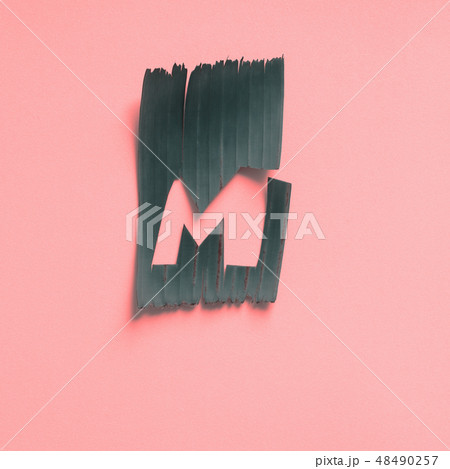 M One letter green tropical leaf alphabet pink M One letter green tropical leaf alphabet pink 48490257