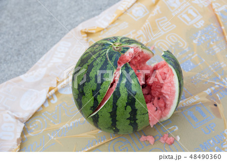 スイカ割りで割れたスイカ スイカ割りで割れたスイカ 48490360