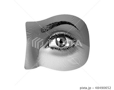 Human eye part illustration vintage style 48490652