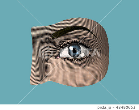 Human eye part color illustration vintage style 48490653