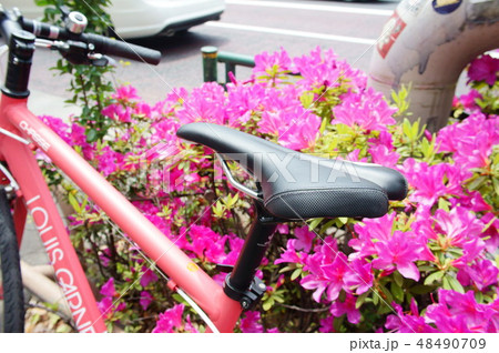ツツジと自転車 48490709