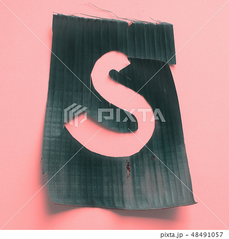 s One letter green tropical leaf alphabet pink s One letter green tropical leaf alphabet pink 48491057