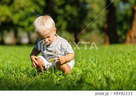 Small cute boy gathering beautiful flowers outside 48492235