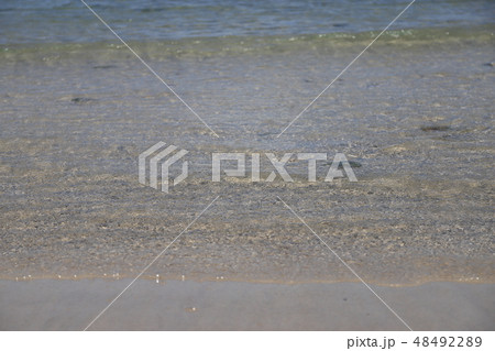 海 海 48492289